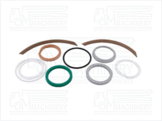 Schwing Spare Part REPAIR KIT FOR DIFFERANTIAL CYLINDER Q120/85x2500